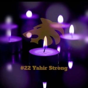 Meet your Posher, Dylan